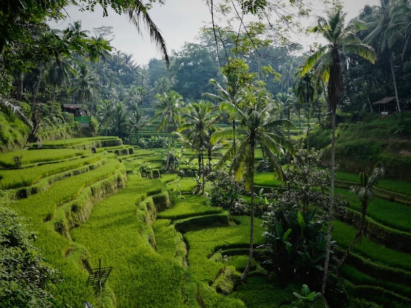 Bali, Indonesia - Tropical paradise awaits